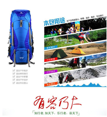 户外65L登山包 大容量背包 野外露营运动旅游双肩背包 厂家直销