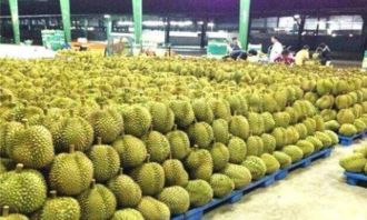 殴打中国游客 宰客,现万吨水果滞销,想求中国原来,网友 没门
