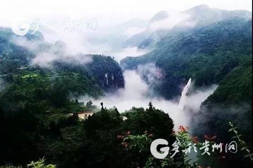 碧江 推进 十全十美 全旅改革 全年实现旅收90多亿元